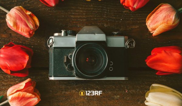 خرید از ادوب استوک adobe stock