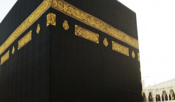 دانلود رایگان freepik_1988238