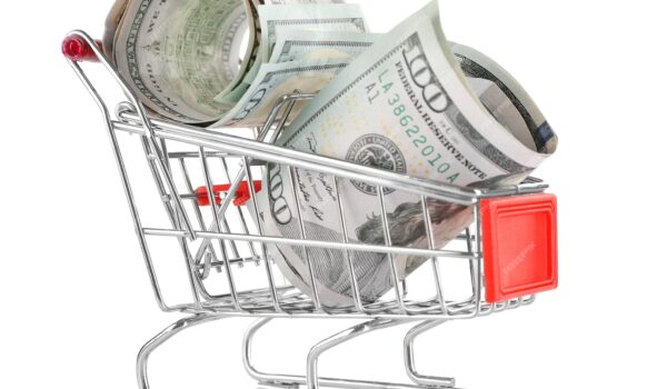 سبد خرید با دلار در داخل جدا شده روی سفید- دانلود رایگان 