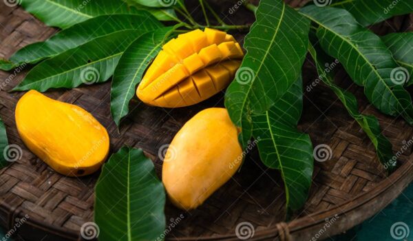 نمای نزدیک از انبه روی برگ در جدول - عکس و وکتور