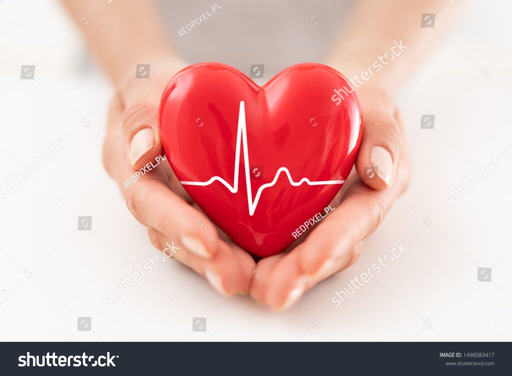 زن قلب قرمزی در دست دارد. مفهومی برای خیریه، بیمه سلامت، عشق، روز جهانی قلب و عروق..- عکس و وکتور