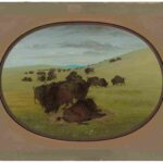 نقاشی George Catlin - A Buffalo Wallow